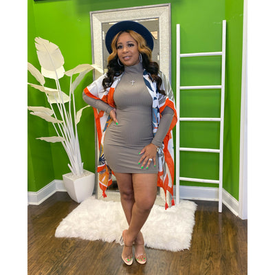 Mini Turtle Neck Dress